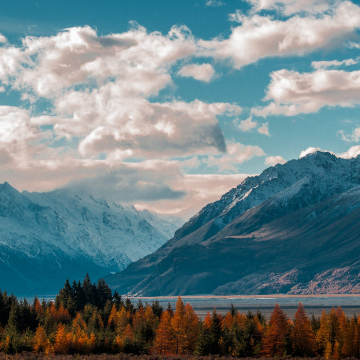 Lorem ipsum dolor sit amet, duo eu utinam mediocrem, eu. h